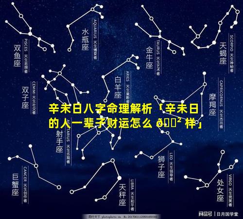 辛未日八字命理解析「辛未日的人一辈子财运怎么 🌲 样」